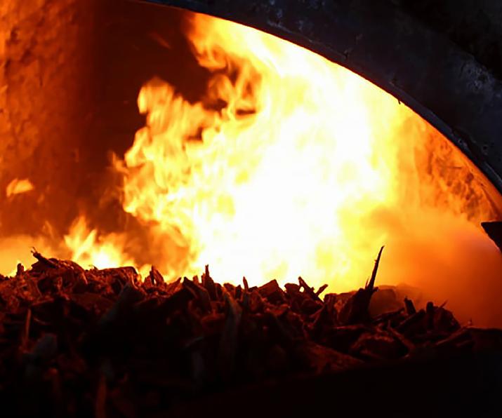 yerba mate secado exportación INTI Misiones