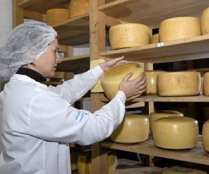 INTI cluster quesero tandil calidad quesos mejora