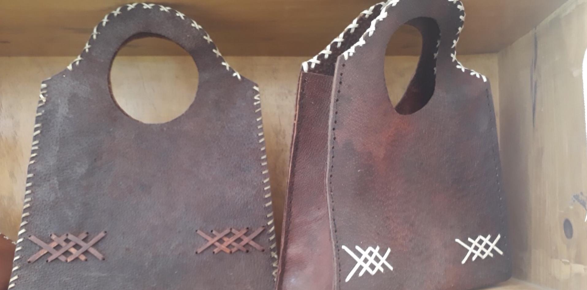 INTI Salta; curtiembre