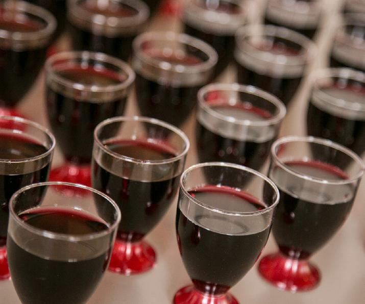 resveratrol; INTI Mendoza