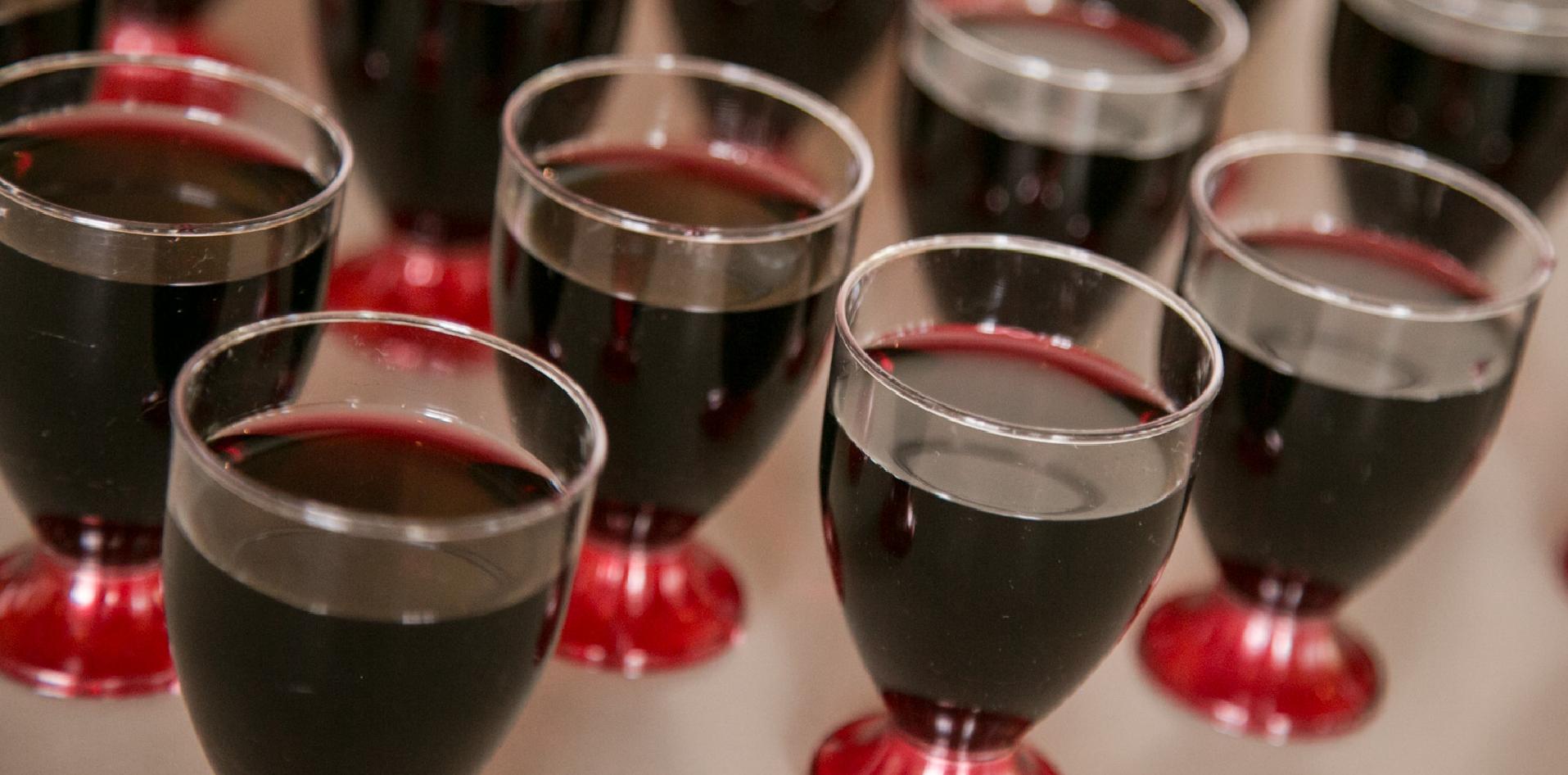 resveratrol; INTI Mendoza