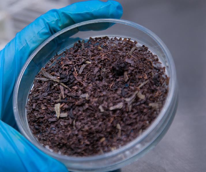 INTI, Misiones, agroalimentos, té, NEA