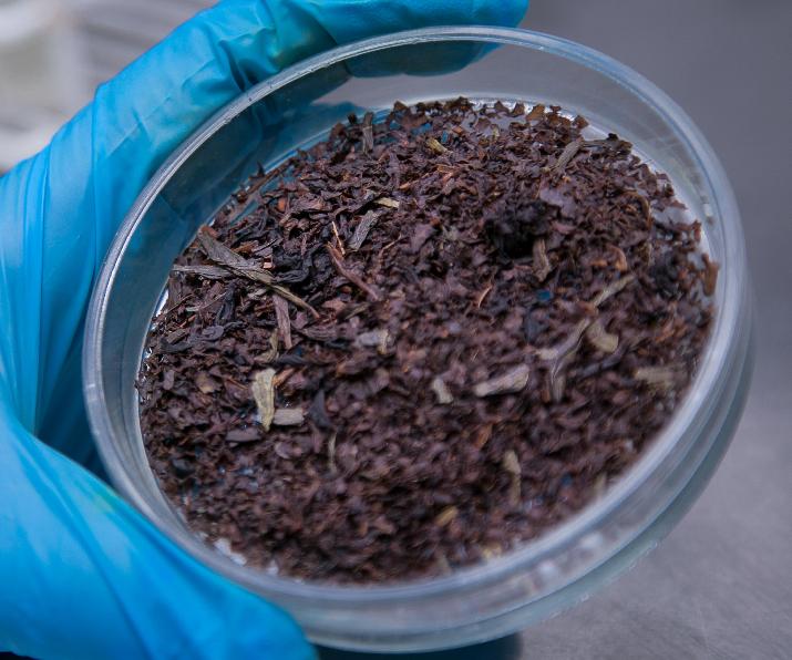 INTI, té, Misiones, NEA, agroalimentos, exportación