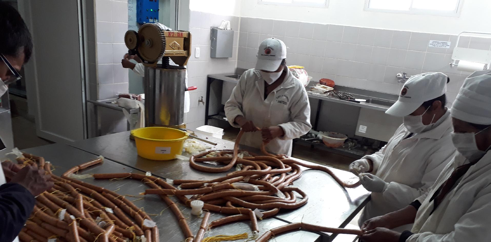 INTI, Jujuy, NOA, llama, carne