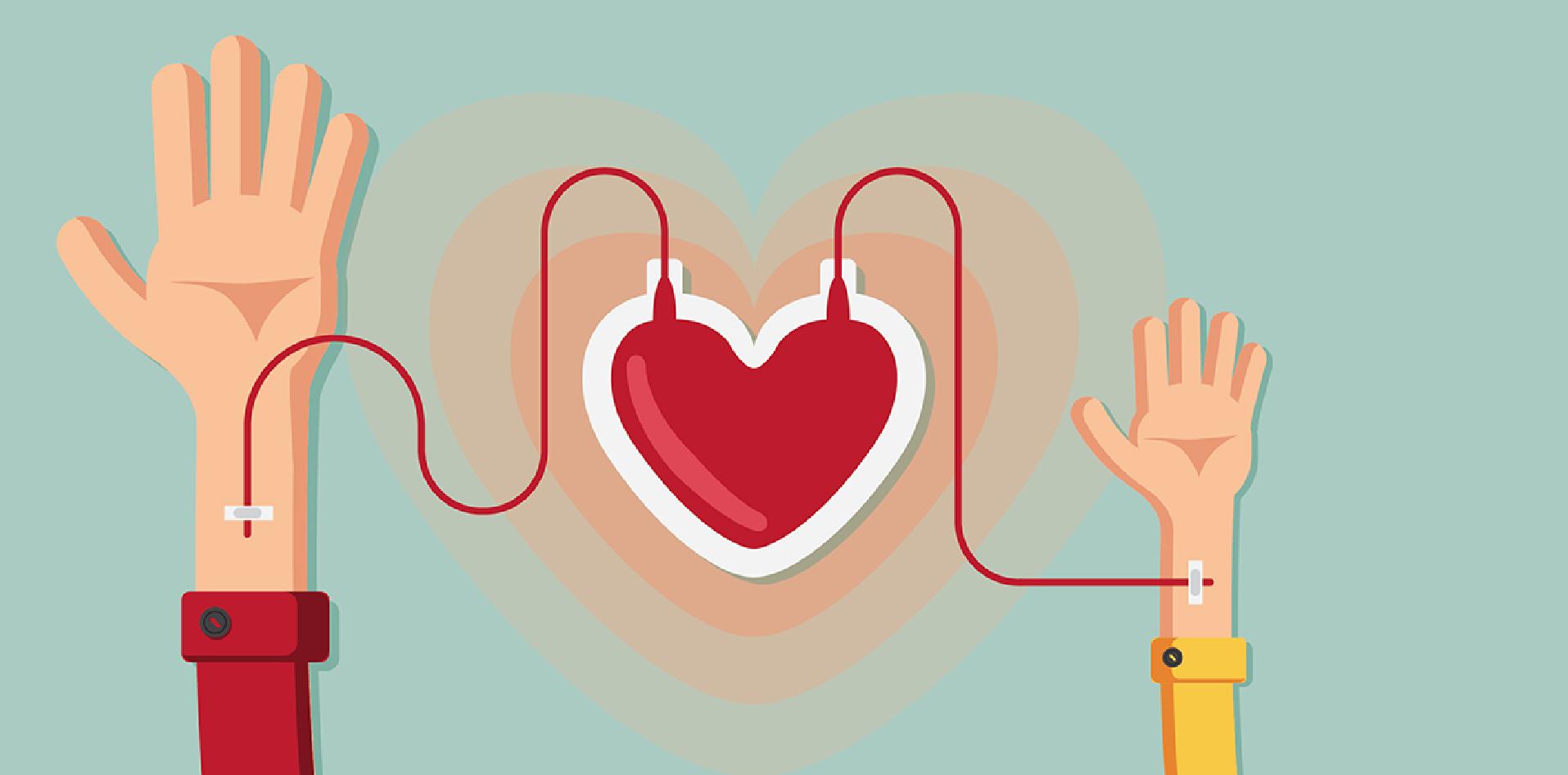 Campaña donación de sangre