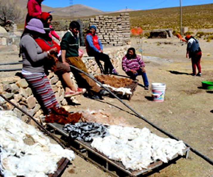 Textil, camélidos, agregado de valor, INTI