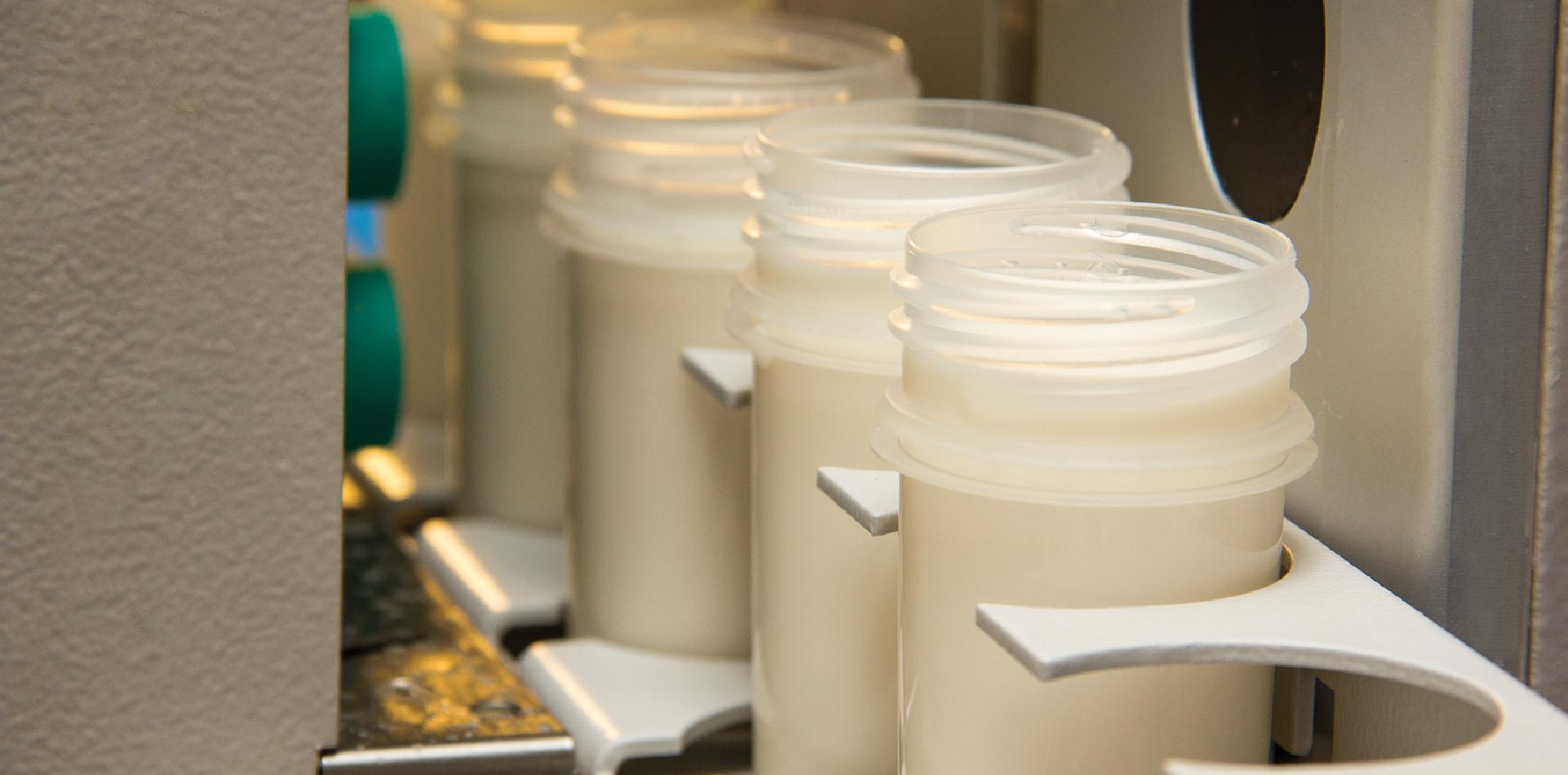 INTI Lácteos, cuenca lechera