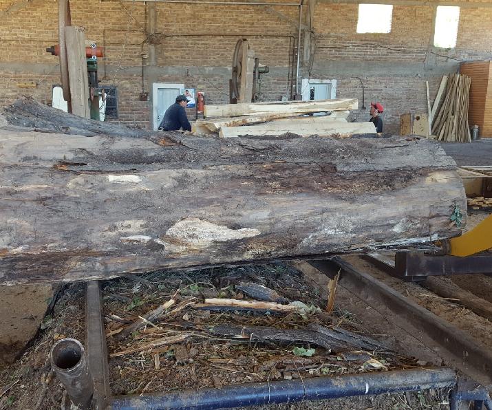 Biomasa; INTI Villa Regina