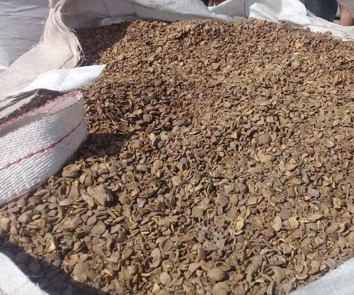 carozo durazno damasco reutilización energía INTI Mendoza