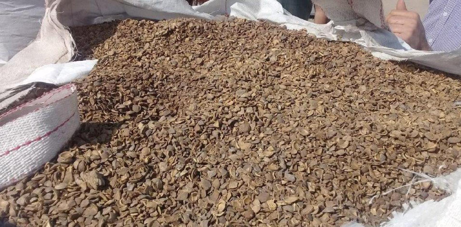 carozo durazno damasco reutilización energía INTI Mendoza