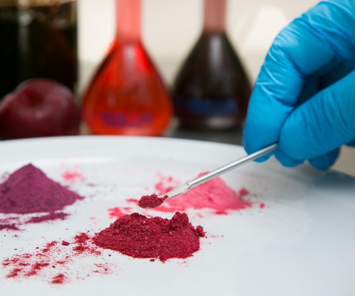 INTI ciruela premio ArgenINTA INTA valor producción