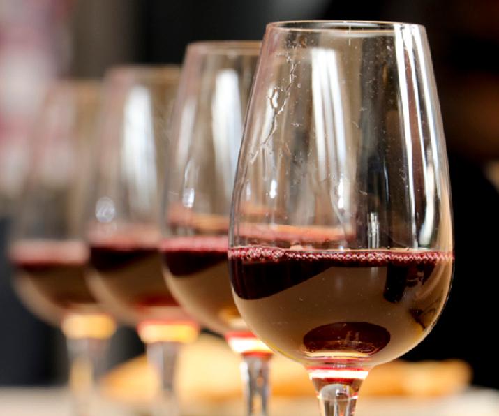 INTI, Patagonia, vinos, vitivinícola