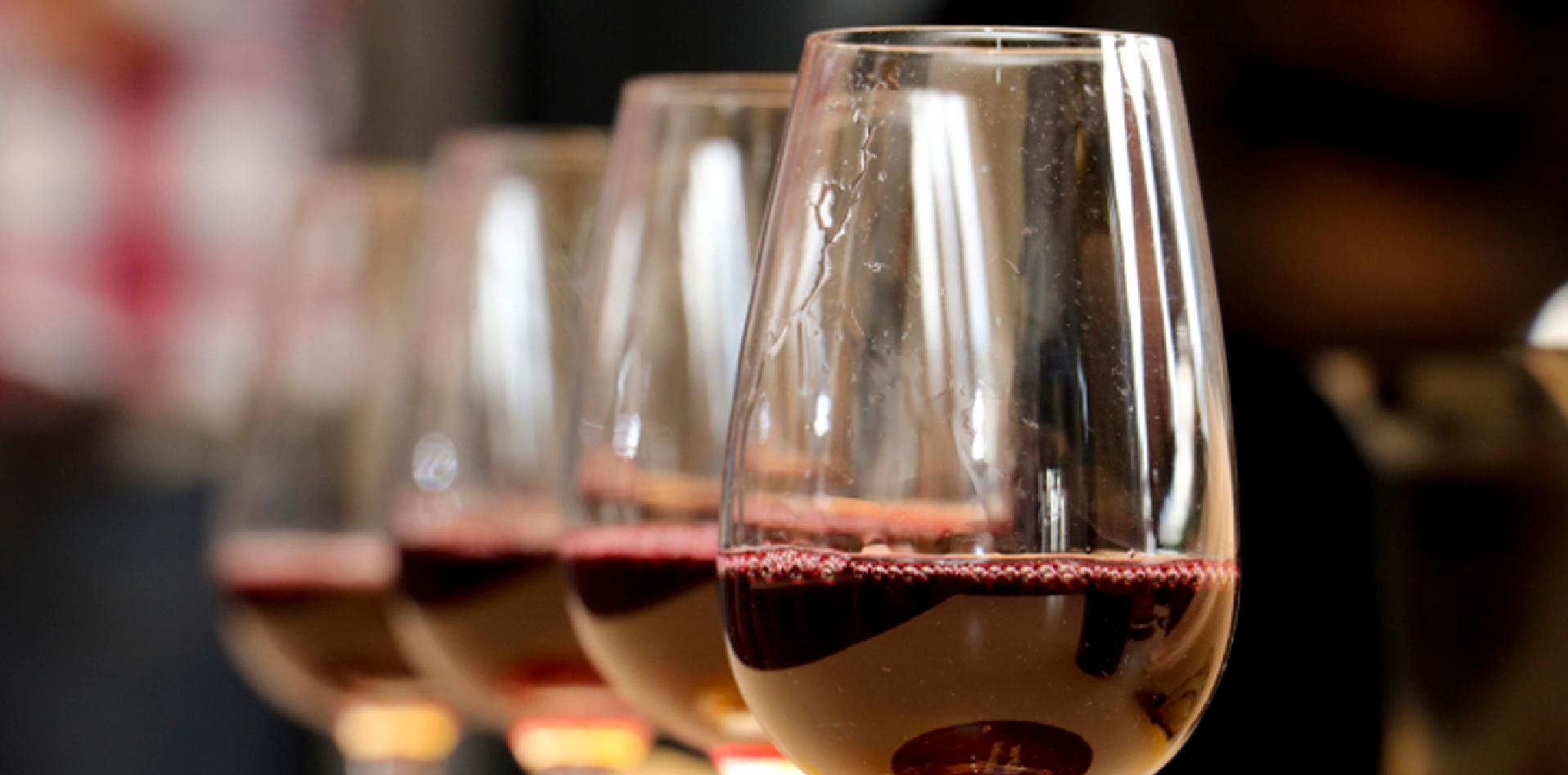 INTI, Patagonia, vinos, vitivinícola