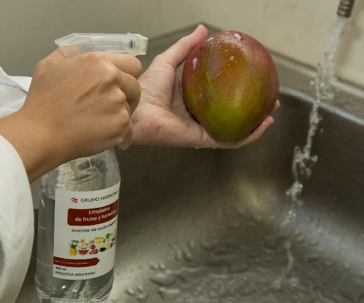 INTI limpiador Pampa SA frutas hortalizas bacterias