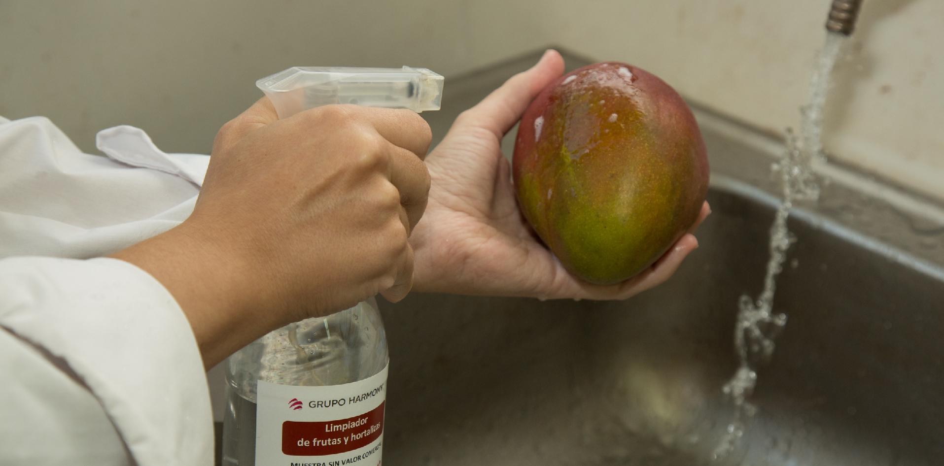 INTI limpiador Pampa SA frutas hortalizas bacterias