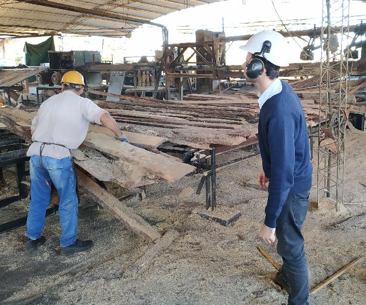 INTI, Corrientes, NEA, foresto-industria, forestal