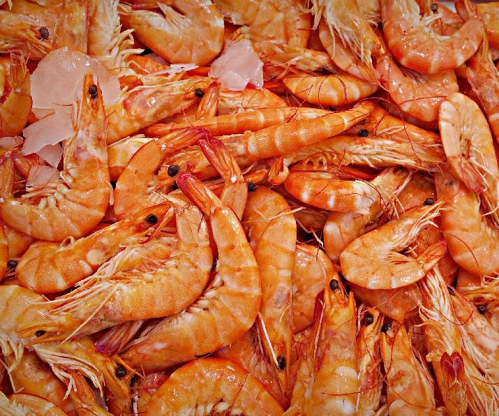 INTI langostino exportación argentina brasil crustacean DPAustral innovación antioxidante