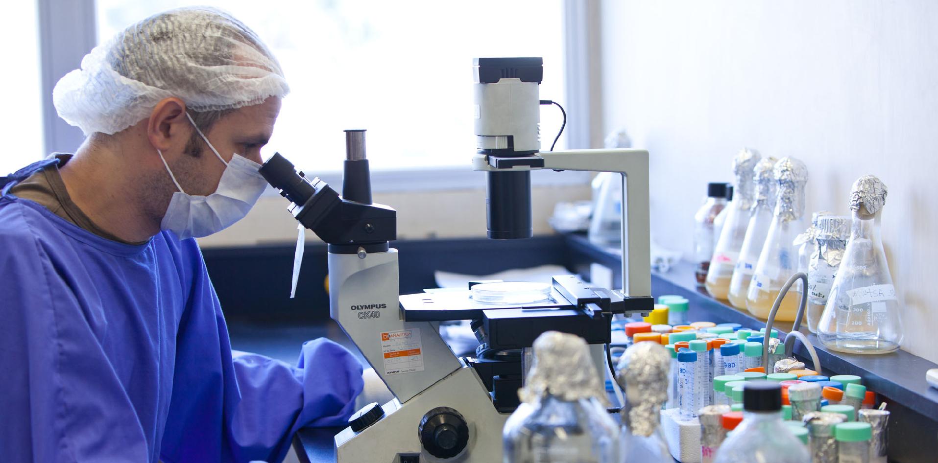 Universidad Nacional de San Martín becas doctorado INTI INCALIN