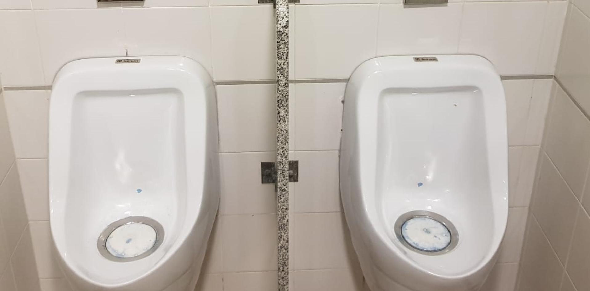 Mingitorios secos