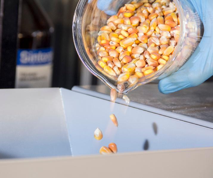 INTI, granos, micotoxinas, alimentos, industria