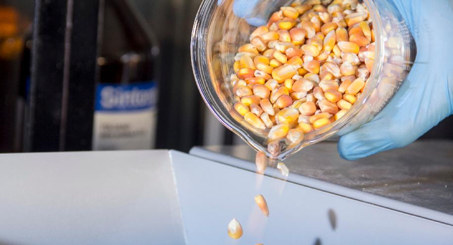 INTI, granos, micotoxinas, alimentos, industria