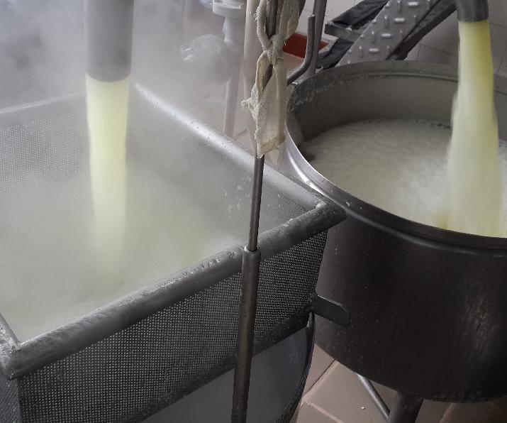 Lácteos, leche, suero, lactosuero, INTI