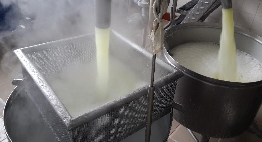 Lácteos, leche, suero, lactosuero, INTI
