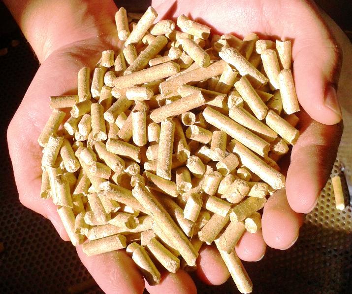 independencia energética, biogás, pellets, INTI