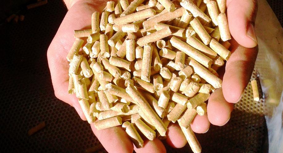 independencia energética, biogás, pellets, INTI