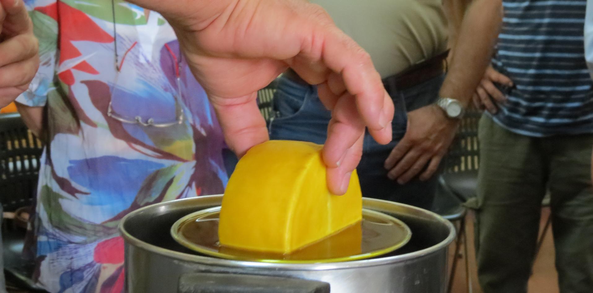 cera de abeja, queso artesanal, INTI, cobertor, ecológico