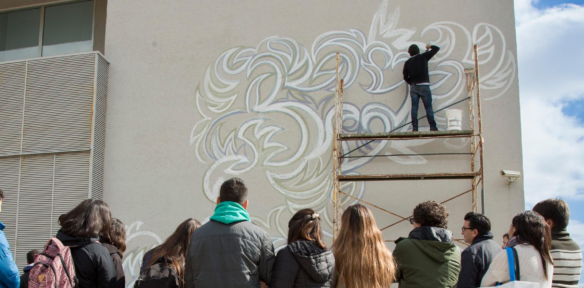 INTI, FAN, pigmentos naturales,