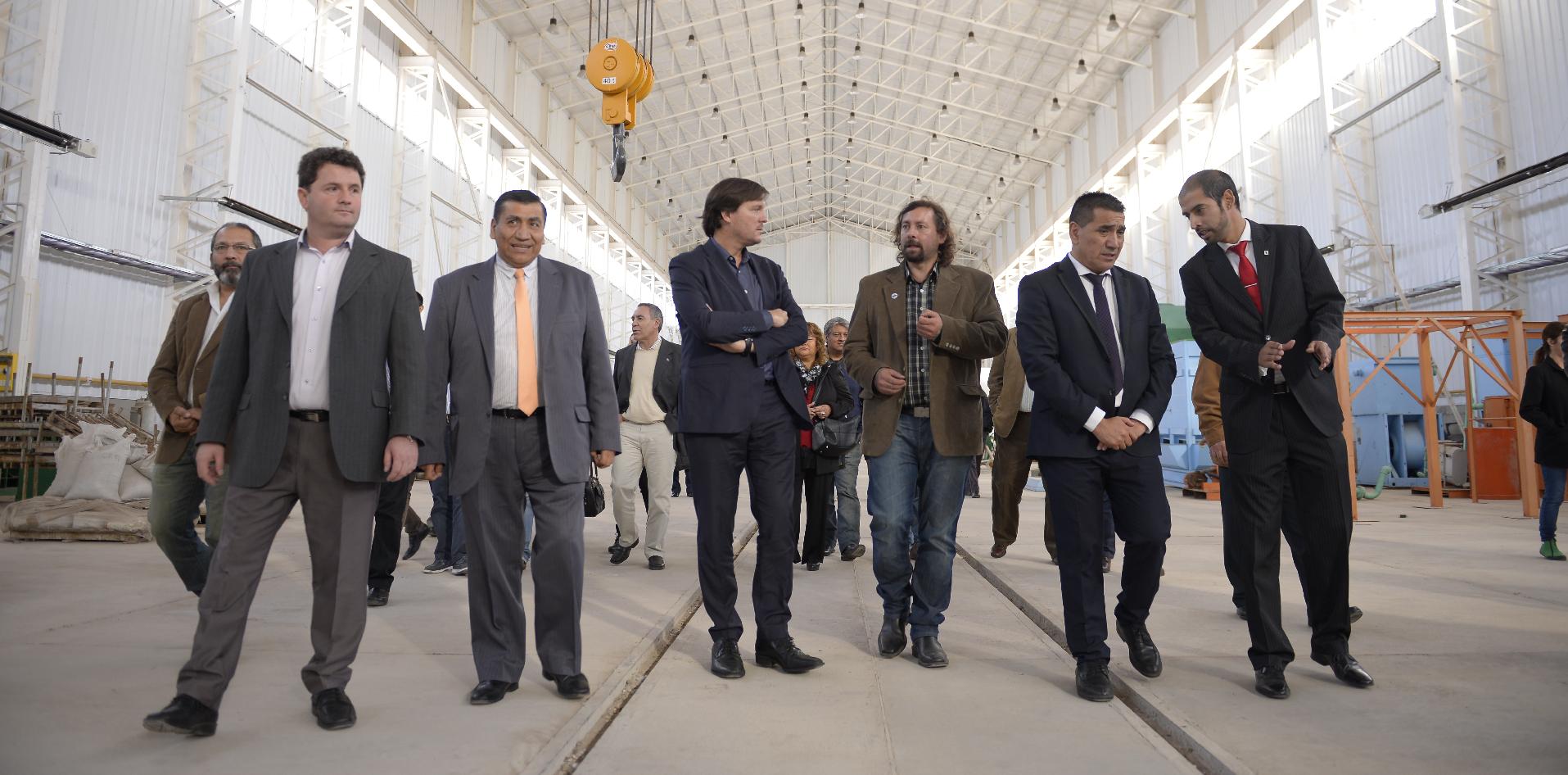 INTI, parque eólico, Neuquén, Cutral-Có