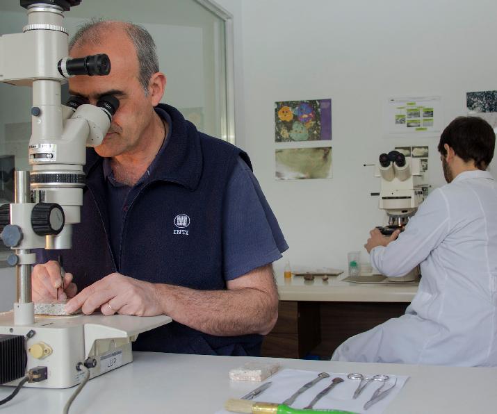 Geología Aplicada y Ambiental INTI-Construcciones Teatro Solís Montevideo asistencia internacional