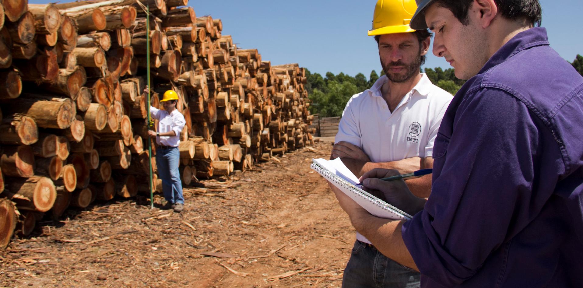 DESARROLLO LOCAL EN EL NEA