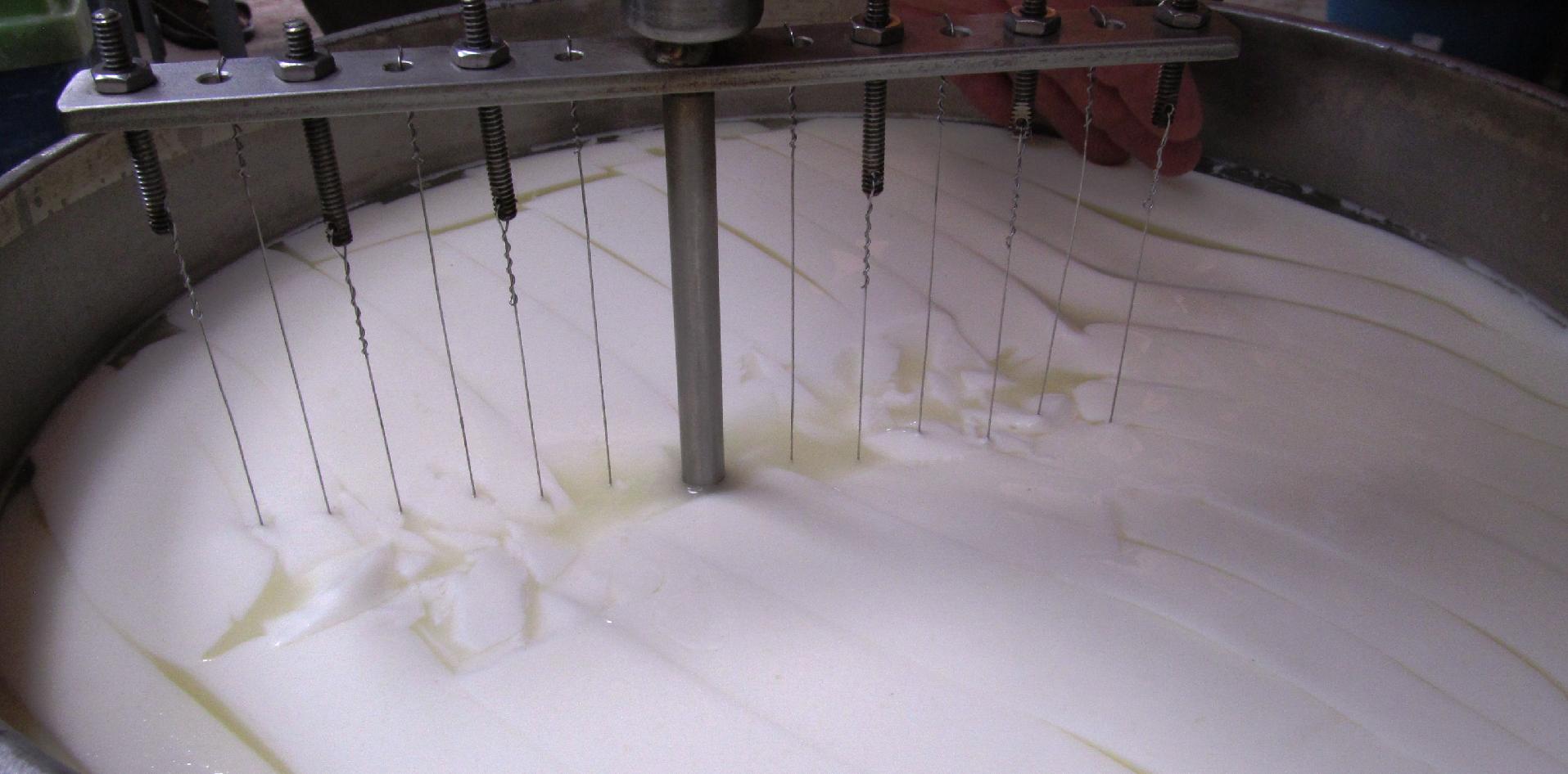 INTI, queso, lácteos, Córdoba, equipamiento