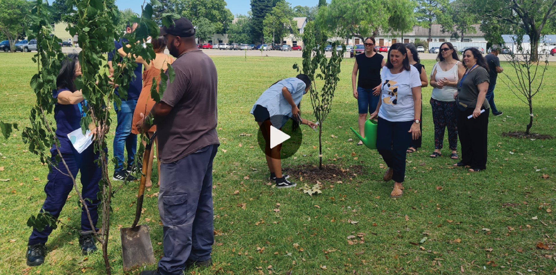 Plantamos cercs de 200 árboles en el PTM