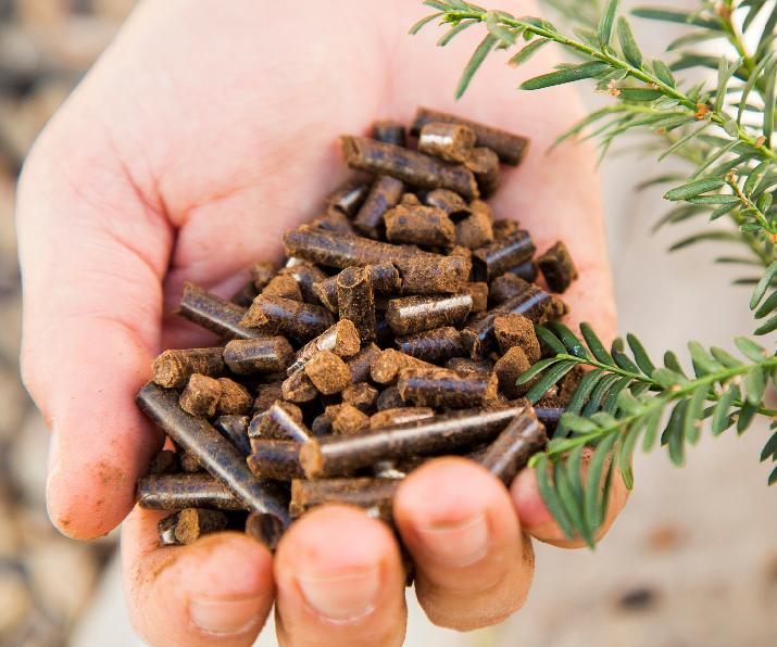 Con el producto de la poda se pueden crear biocombustibles, como pueden ser pellets o briquetas