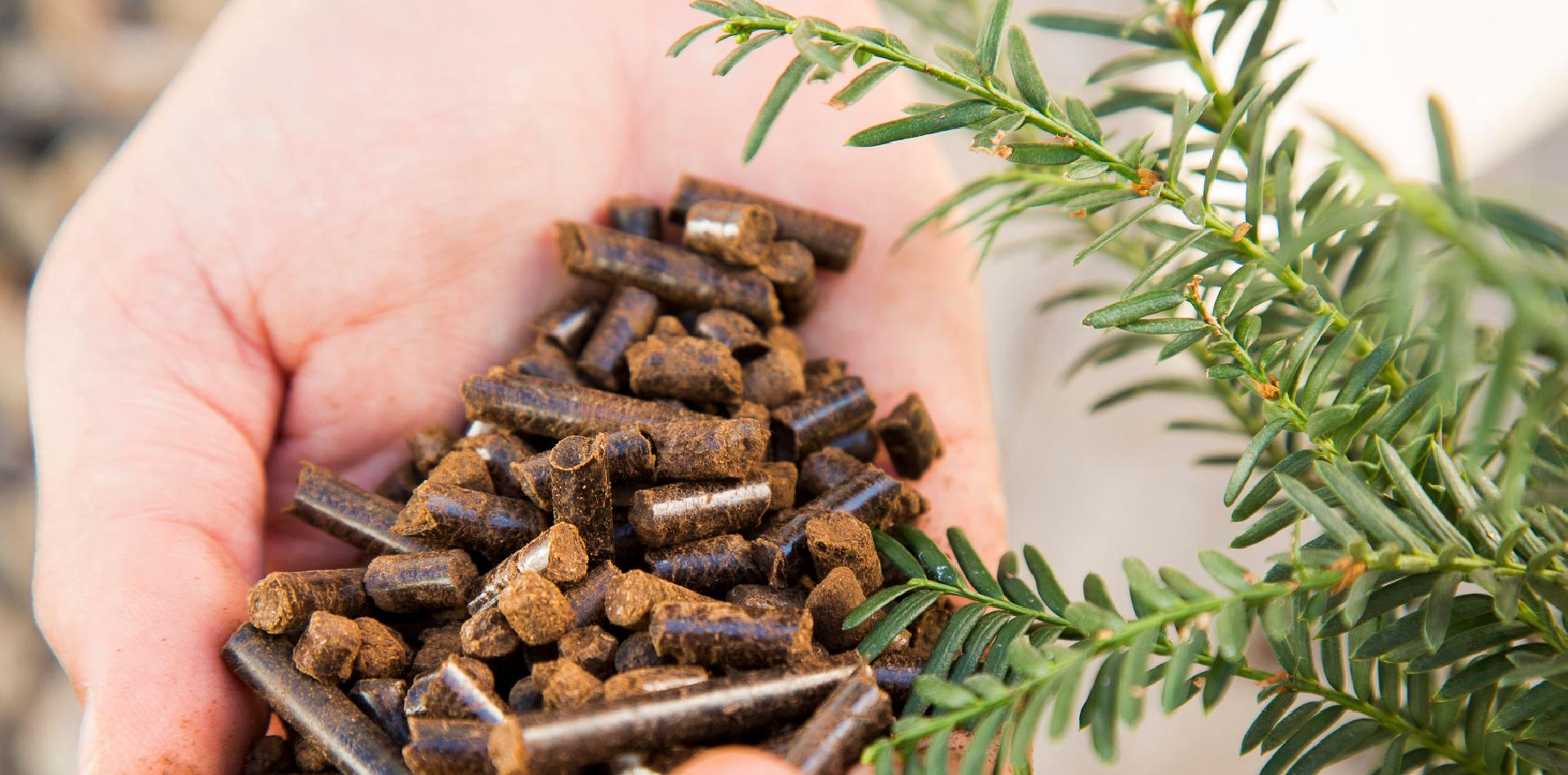 Con el producto de la poda se pueden crear biocombustibles, como pueden ser pellets o briquetas
