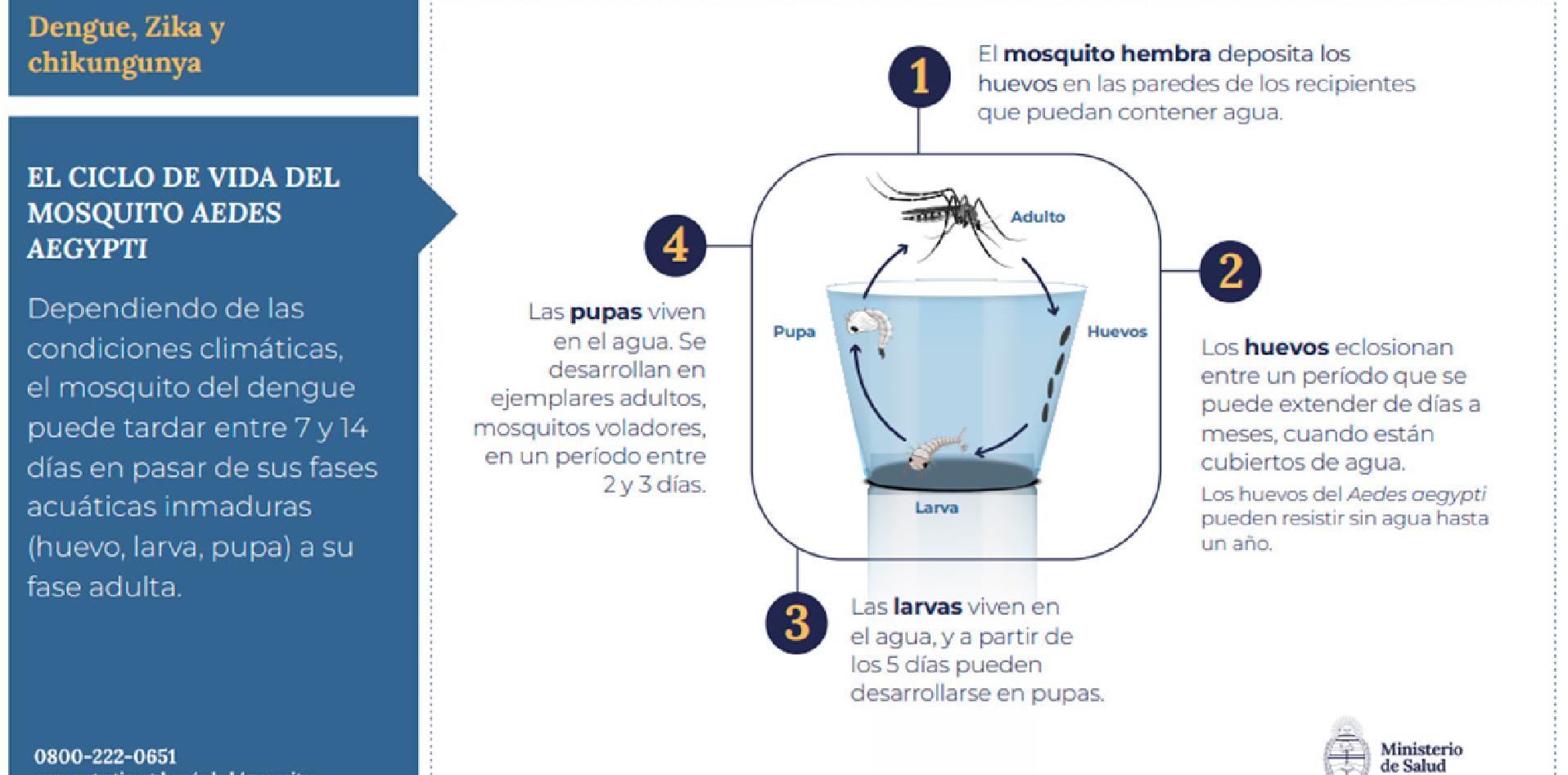 Prevención