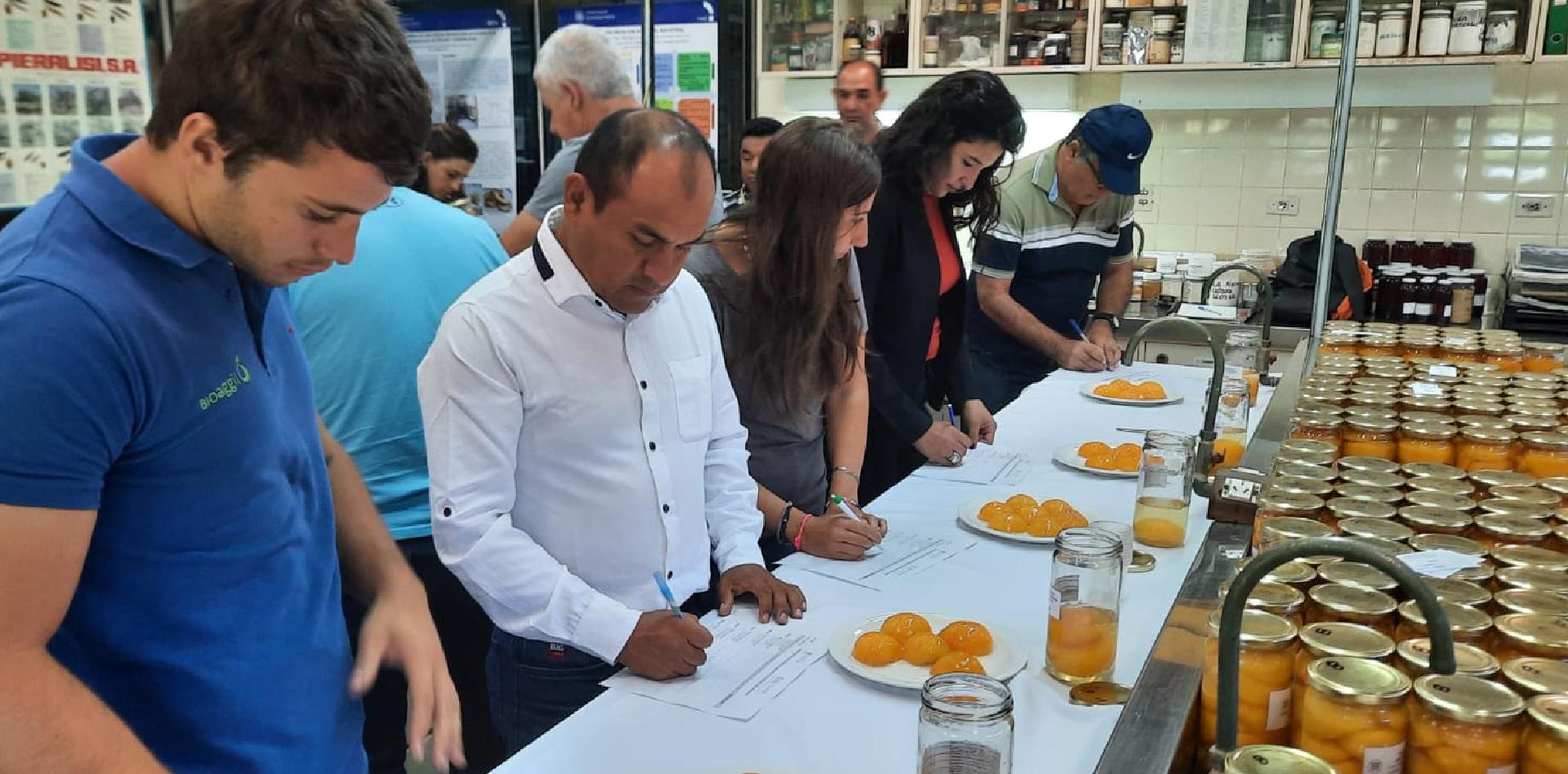 Laboratorios mendoza