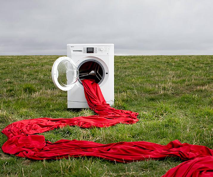 INTI, Patagonia, biotecnología, industria, textil, lana, CONICET