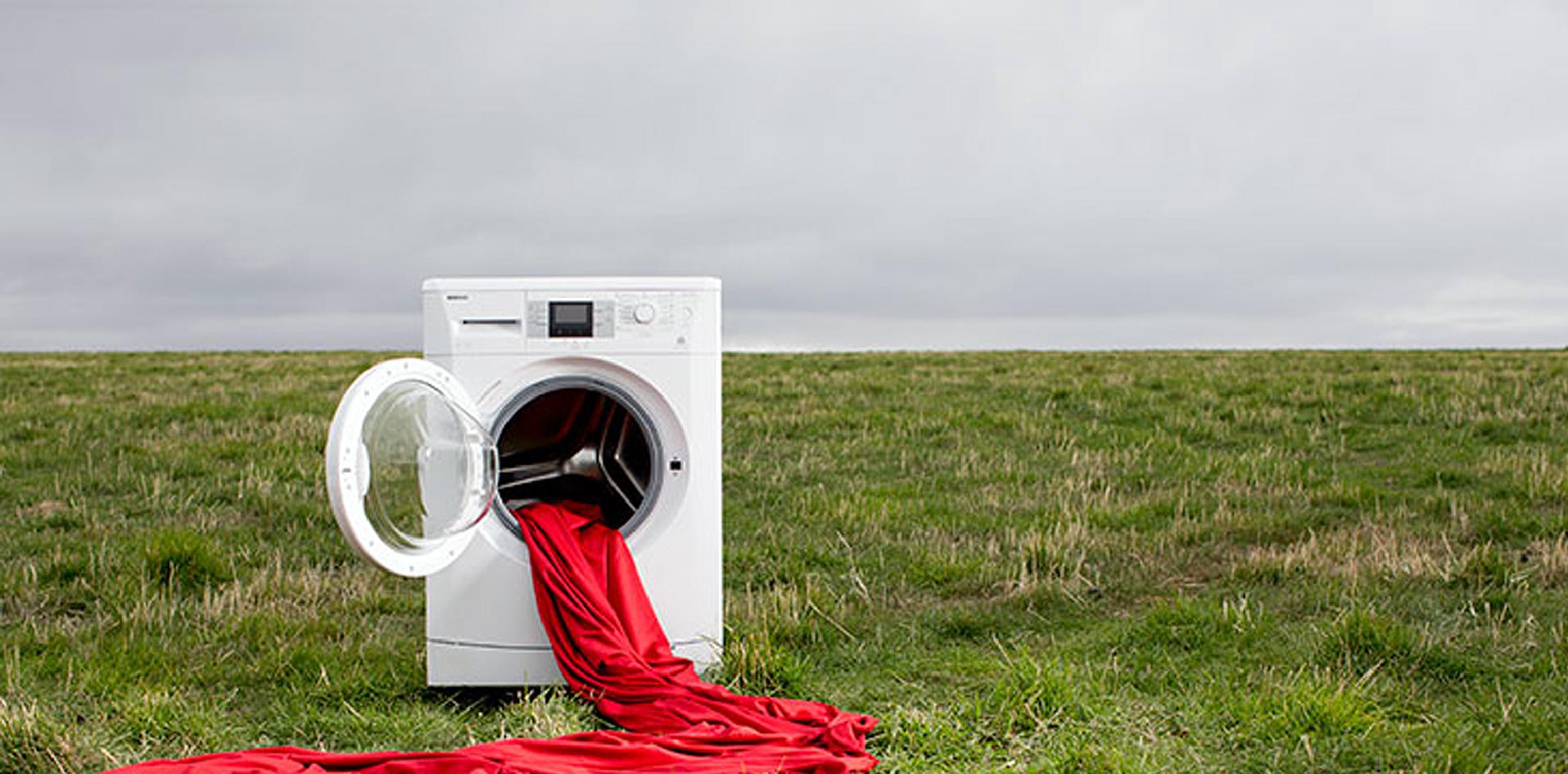 INTI, Patagonia, biotecnología, industria, textil, lana, CONICET