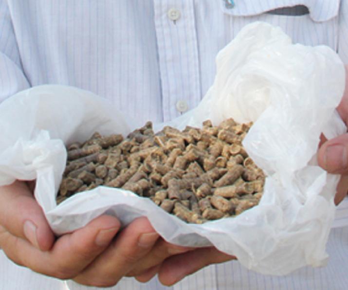 mesa provincial producción, vinculación sector público y privado