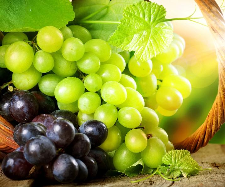 Vinos Argentinos, Concurso, INTI, Patagonia