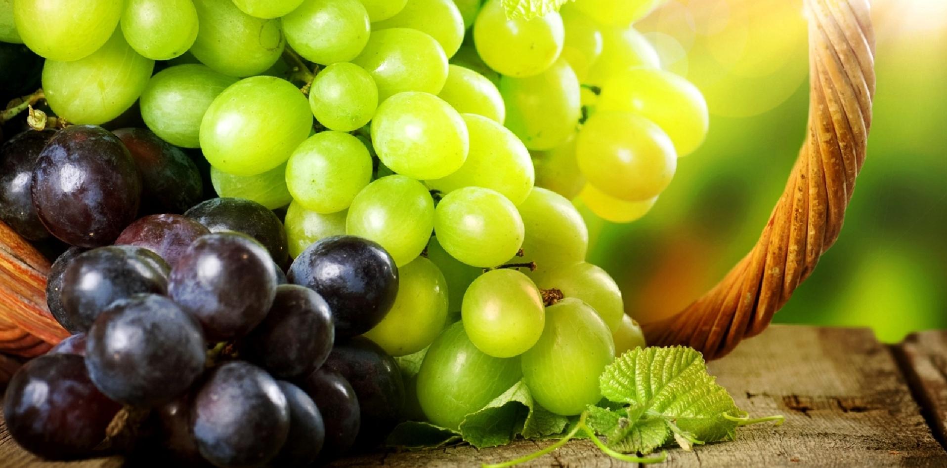 Vinos Argentinos, Concurso, INTI, Patagonia