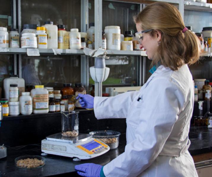 aditivo proteico, funcional para alimentos