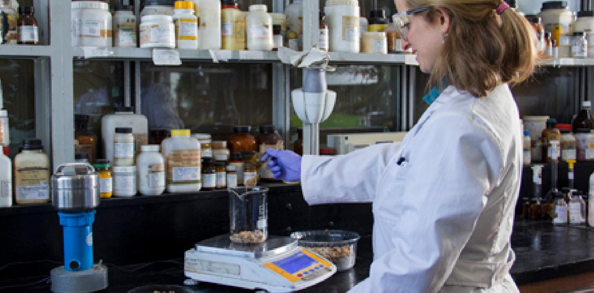 aditivo proteico, funcional para alimentos