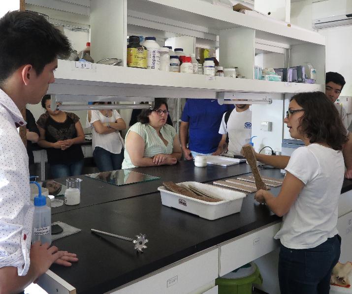 Universidad, INTI, Estado