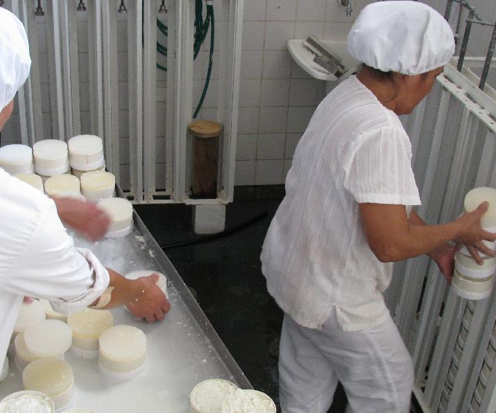 quesos, cabra, asistencia técnica, producción nacional