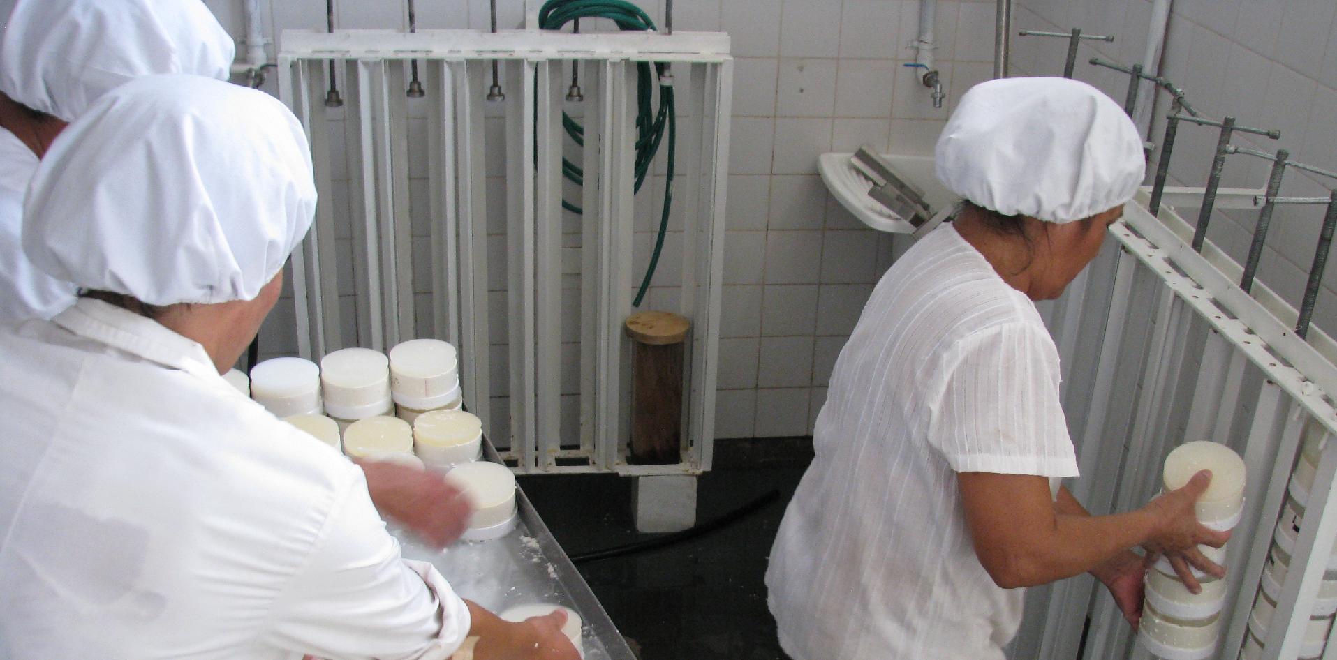 quesos, cabra, asistencia técnica, producción nacional